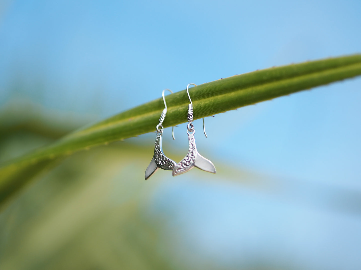 Whale Tail Elegance Earrings